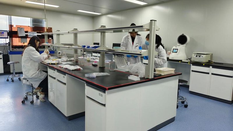 生物技术研发：推动生命科学发展的新航程